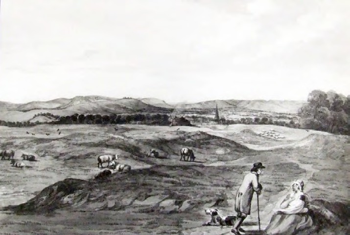 CreditStockgrove Historic Landscape Study