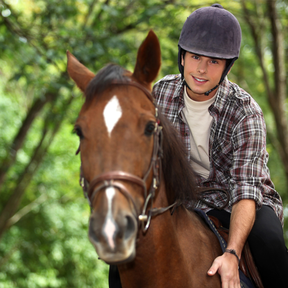 horse riding permits