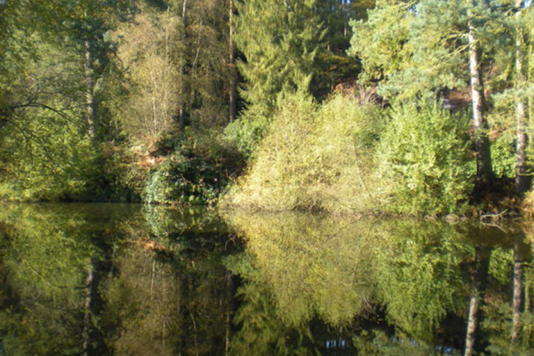 replace-annual-parking-pass