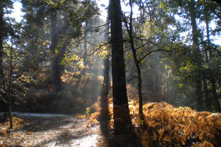 second-annual-parking-pass